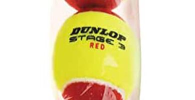 bolas beach tennis dunlop